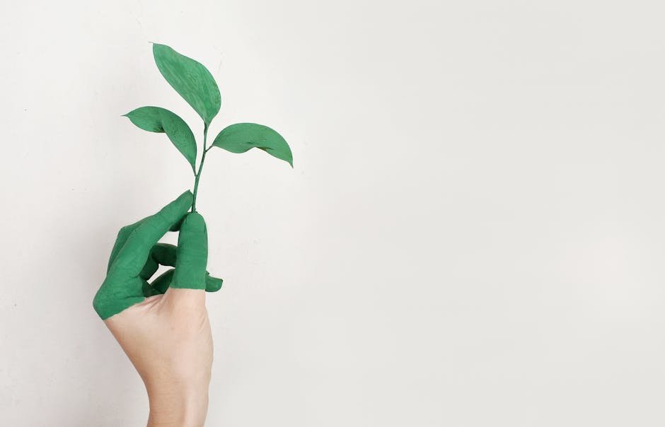 sustainable home decor choices for a greener planet 2