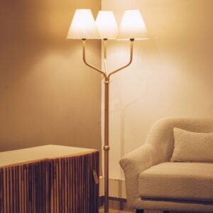 Santana_Showroom_May-70_result