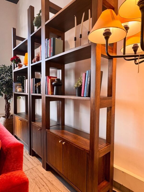 santanaafrica__1736262126_3540345780120493036_7280139451